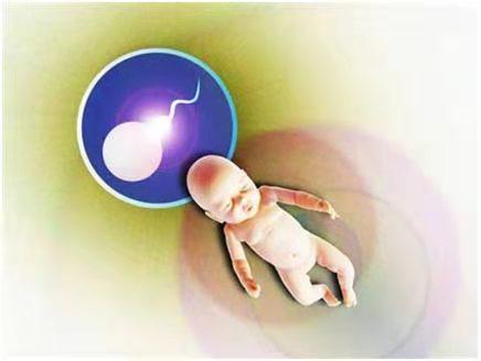 体外受精 IVF-ET